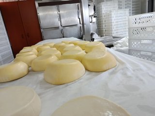 Queso del país carballo