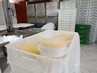 Queso del país carballo