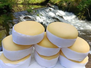 Queso del país carballo