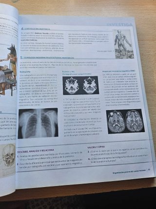 Anatomía aplicada