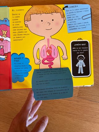 El cuerpo humano mi primer libro de anatomía