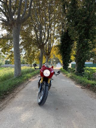 Triumph Thruxton R 1200 Roja 2016
