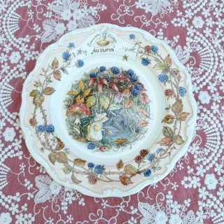Royal Doulton Brambly Hedge Mug + Piatto