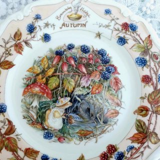 Royal Doulton Brambly Hedge Mug + Piatto