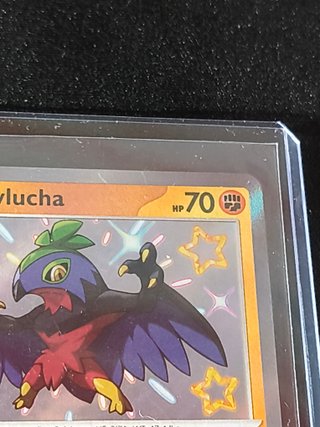 PAF 175 Hawlucha (Shiny) NM ING Paldean Fates