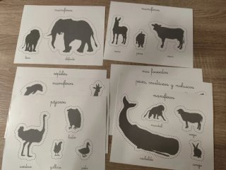 Juego Montessori Clementoni Los Animales