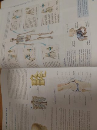 Libro anatomía aplicada 1 Bachillerato