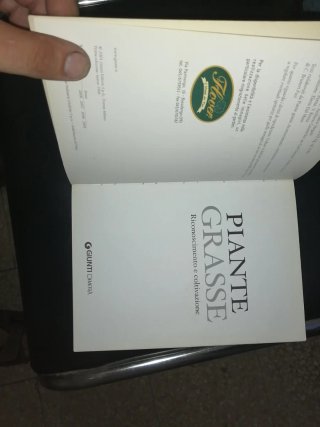 Libro Piante Grasse: Riconoscimento e Coltivazione