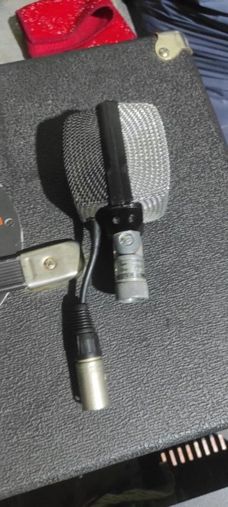 AKG D12