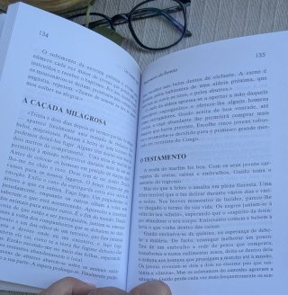Livro "Um Homem Inútil" – Lorenzo Gaiga