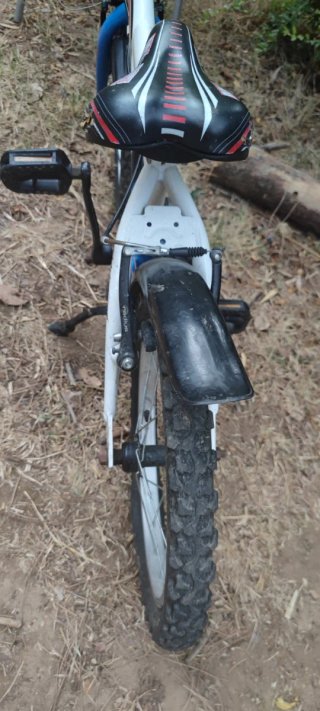 Bicicleta Infantil Carratt