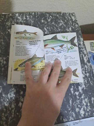 Cuadernos de campo Félix Rodríguez de la Fuente