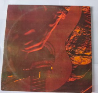 Vinilo David Bowie El Rey Del Gay Power