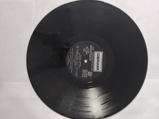 Vinilo David Bowie El Rey Del Gay Power