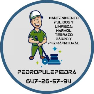 Pulidora de suelos trifásica 380V