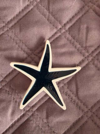 Broches decorativos