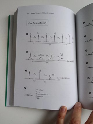 Libro Sanar el camino del yoga terapéutico.