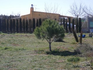 Casa en parcela rustica 2000 M2, con luz y agua