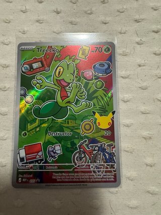 Trío Hoenn Serie 3 First Partner