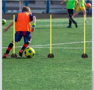 Barras Obstáculos/Salto Mascotas/Fútbol