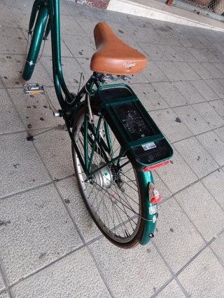 Bicicleta eléctrica de paseo verde