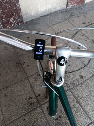 Bicicleta eléctrica de paseo verde