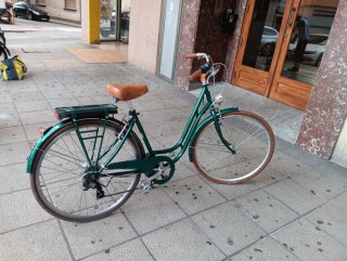 Bicicleta eléctrica de paseo verde