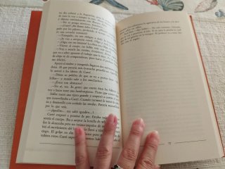 El ojo de la patria