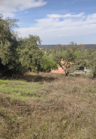 PARCELA RÚSTICA EN LA SIERRA NORTE.
