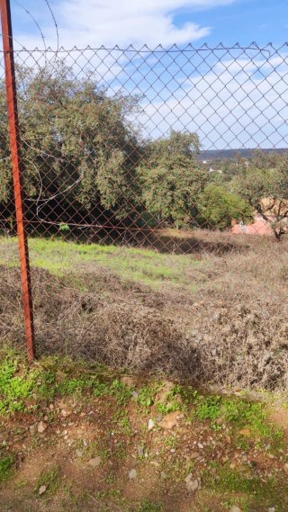 PARCELA RÚSTICA EN LA SIERRA NORTE.