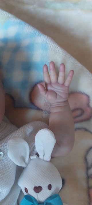 Bebé Reborn realista