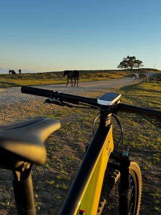 Scott Scale 930 Full XT