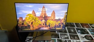 Monitor HP 24 233