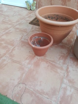 3 Macetas Plástico/Terracota