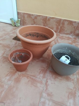 3 Macetas Plástico/Terracota
