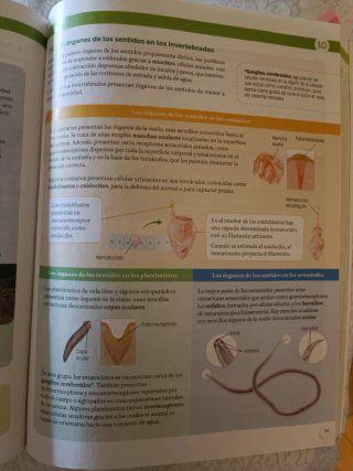 Biología, Geología y Ciencias Ambientales 1 Bac...