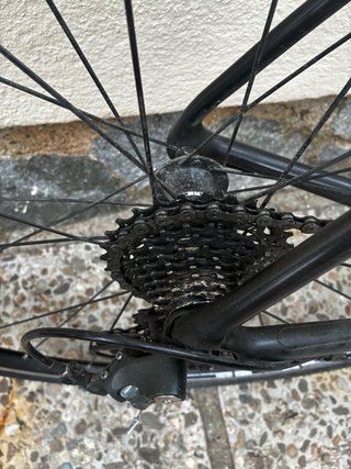 Bicicleta Carretera Trek Émonda ALR 3