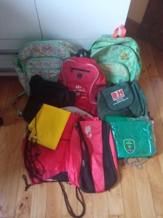 Lote de Mochilas y Bolsas