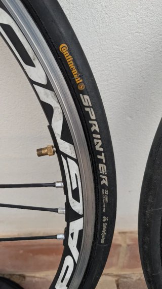 Ruedas Campagnolo Shamal ultra  Tubular