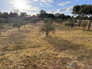 Terreno en venta en Mejostilla en Cáceres