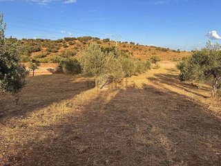 Terreno en venta en Mejostilla en Cáceres