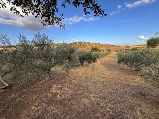 Terreno en venta en Mejostilla en Cáceres