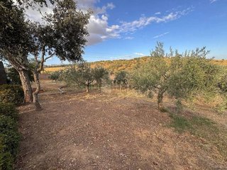 Terreno en venta en Mejostilla en Cáceres
