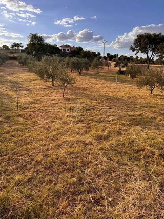 Terreno en venta en Mejostilla en Cáceres