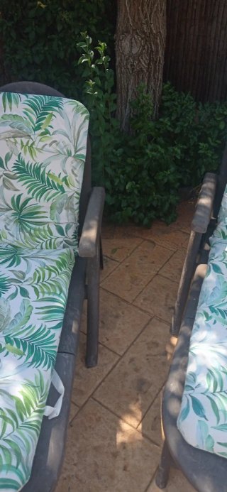 Tumbonas de jardín y piscina (2 unidades)