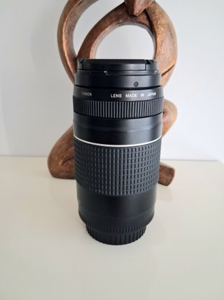 Objetivo Canon EF 75-300mm f/4-5.6 III