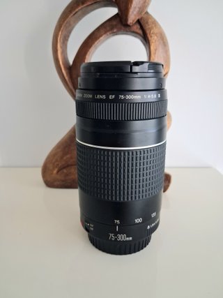 Objetivo Canon EF 75-300mm f/4-5.6 III