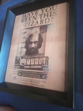 Cuadro Holograma Harry Potter