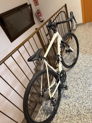 Bicicleta Trek Blanca
