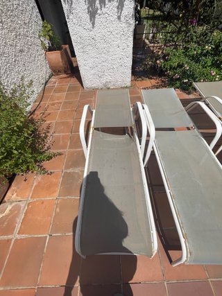 Tumbonas de jardín